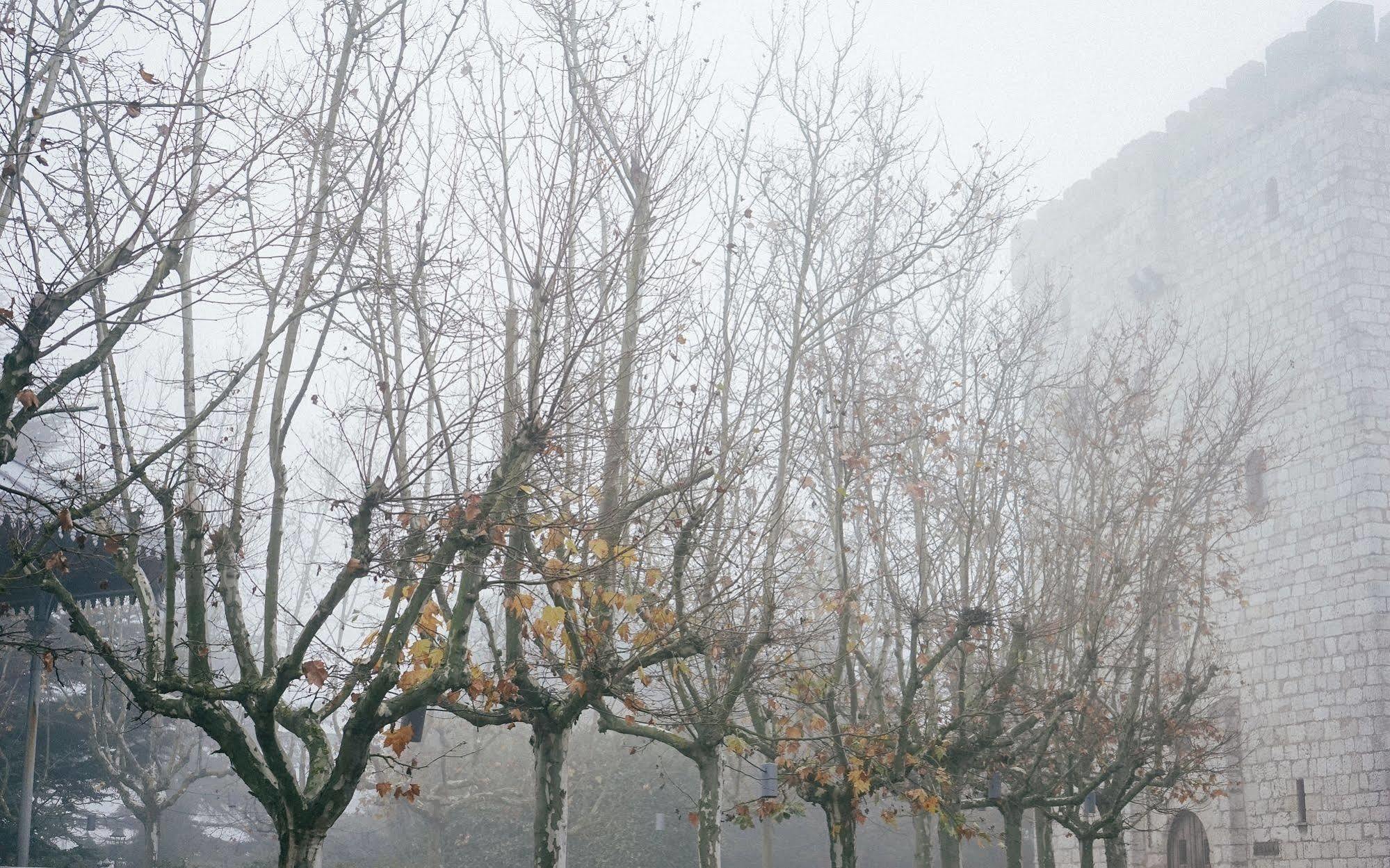 Landa Hotel Burgos Exterior photo Trees in winter